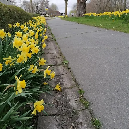 Urlaubshof-boie Apartment *