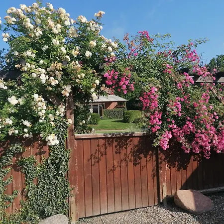 Apartment Urlaubshof-boie *